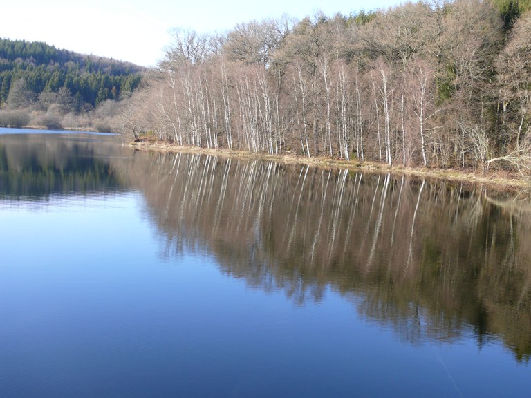 Le reflet des lacs